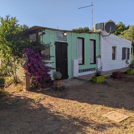 Casa Carlo Villa Alghero Dış mekan fotoğraf