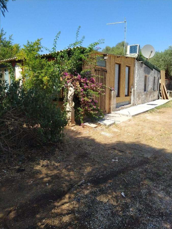 Casa Carlo Villa Alghero Dış mekan fotoğraf