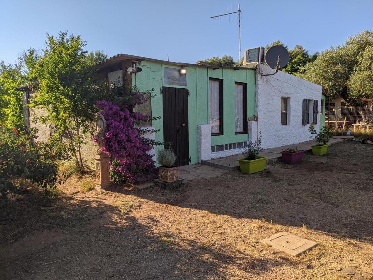Casa Carlo Villa Alghero Dış mekan fotoğraf